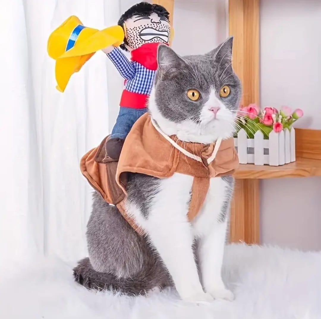 Disfraz de Jinete Vaquero para Mascotas